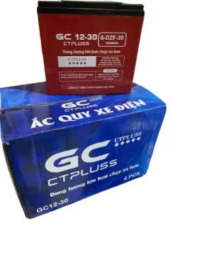 ẮC QUY XE ĐIỆN GC CTPLUS 6-DZF-12 (12V 12Ah)