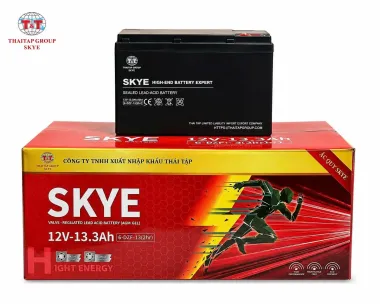 ẮC QUY XE ĐIỆN SKYE 12V13.3AH (4,3KG)